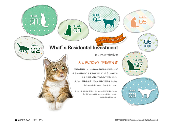 Asset Investment WEB DESIGN